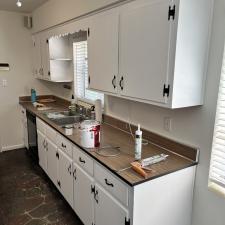 1 cabinet painter